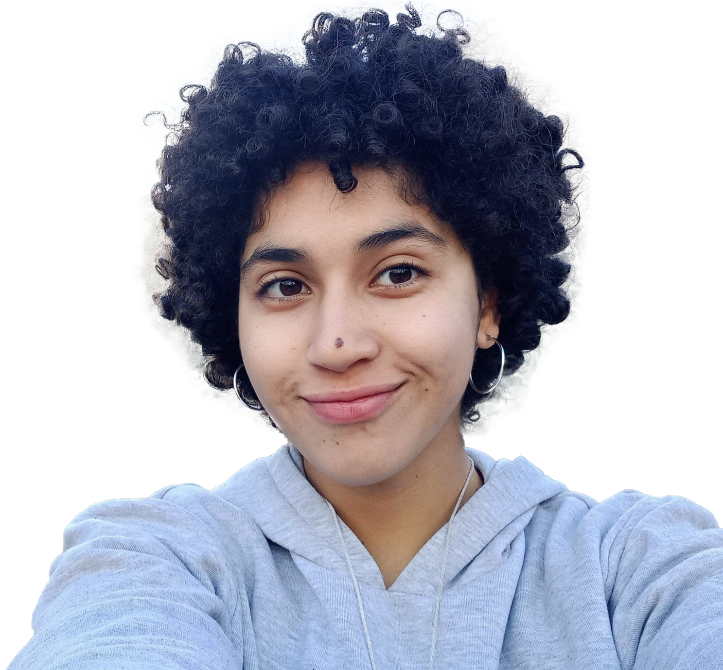 Arige Ferjani